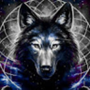 Meet your Posher, Joaquin